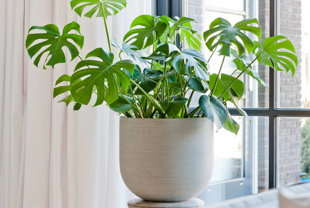 Cody Horizontal Ridged Planter - Image 4