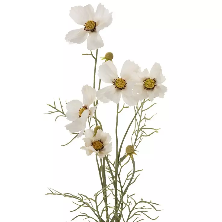 Cosmo Flower - Image 4