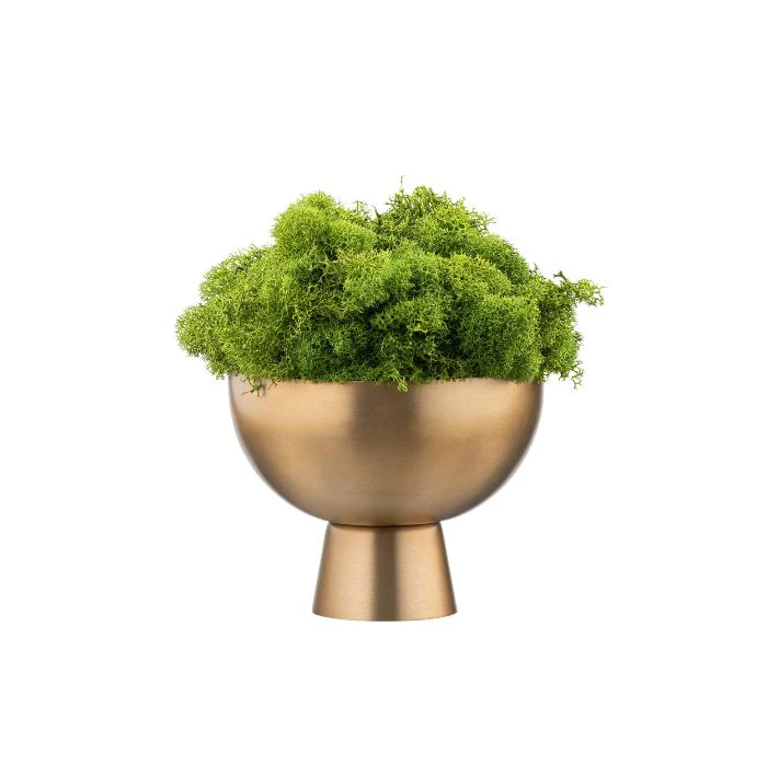 DH Gold Pedestal Mini Moss