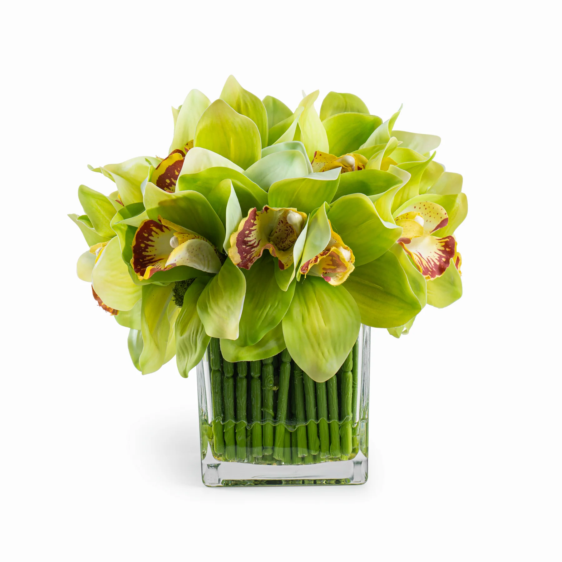 DH Green Orchid in Square Glass Vase - Image 2