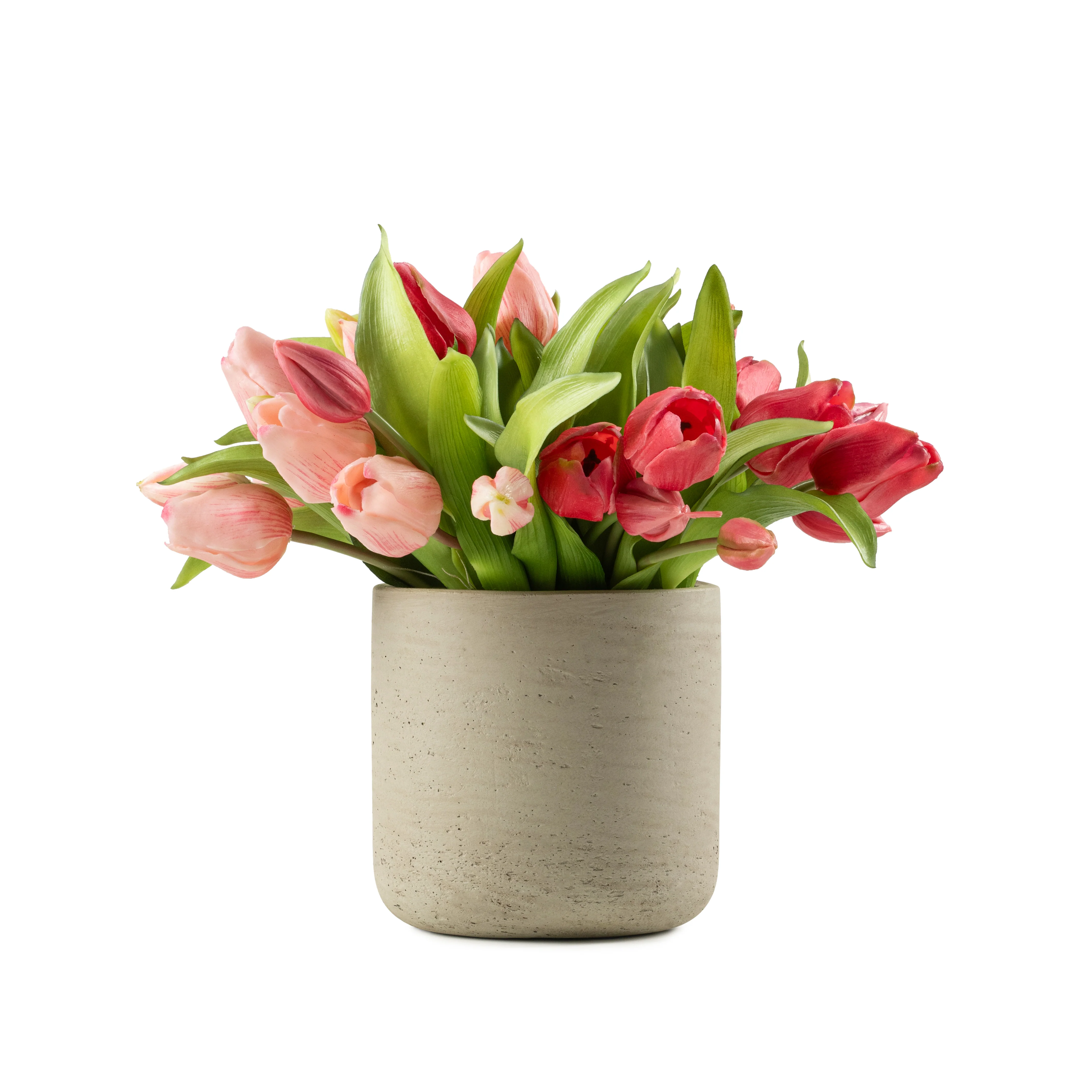 DH Pink Tulips in Charlie Small Vase