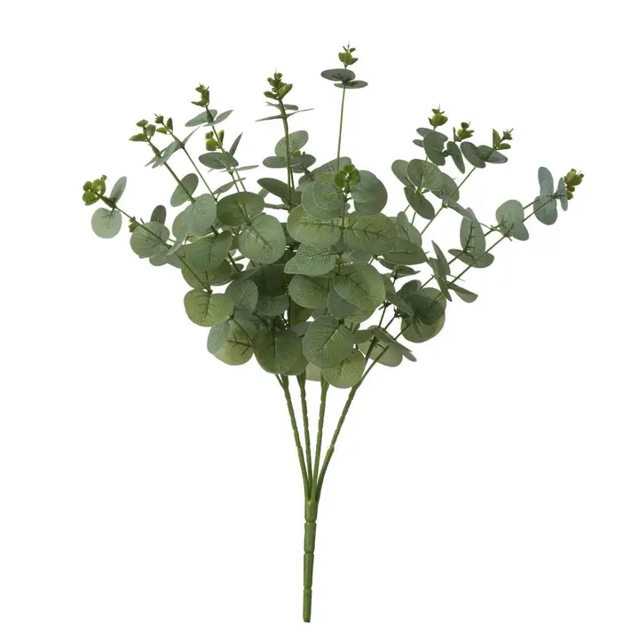 Eucalyptus Stem