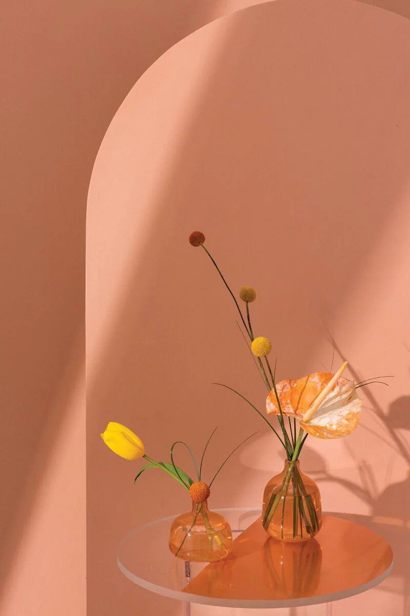 Hany Budvase - Image 2