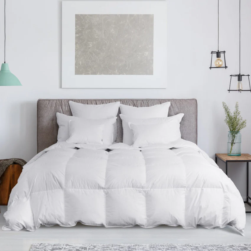 Organa Down Comforter By Downright