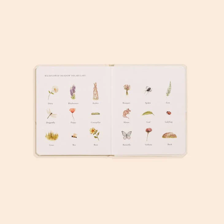Our Little Adventures Box Set - Image 7
