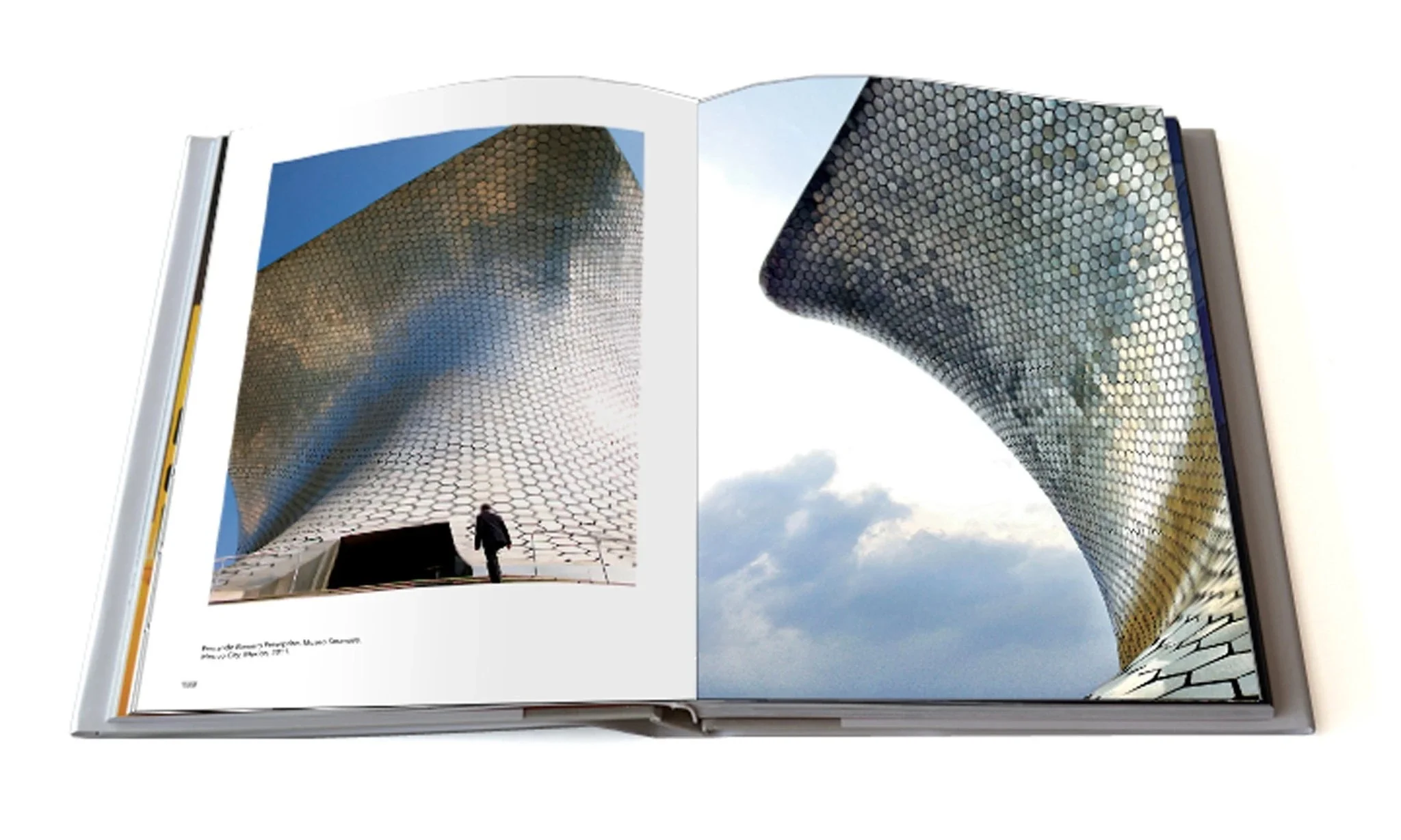 Portraits of the New Architecture 2 - Image 3